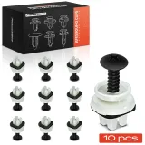 Clip, Zier-/Schutzleiste Frankberg 5481FB0046679