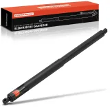 Gasfeder, Koffer-/Laderaum Frankberg 5481FB0048060