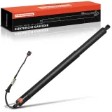 Gasfeder, Koffer-/Laderaum Frankberg 5481FB0048064
