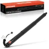 Gasfeder, Koffer-/Laderaum Frankberg 5481FB0048068