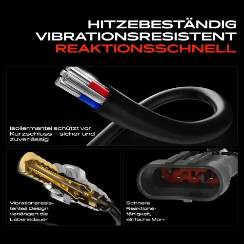 Lambdasonde vor Katalysator Frankberg 5481FB0048613 Bild Lambdasonde vor Katalysator Frankberg 5481FB0048613