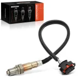 Lambdasonde nach Katalysator Frankberg 5481FB0048629