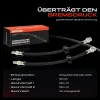 Bremsschlauch Hinterachse beidseitig Frankberg 5481FB0048933 Bild Bremsschlauch Hinterachse beidseitig Frankberg 5481FB0048933