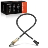 Lambdasonde vor Katalysator Frankberg 5481FB0049564