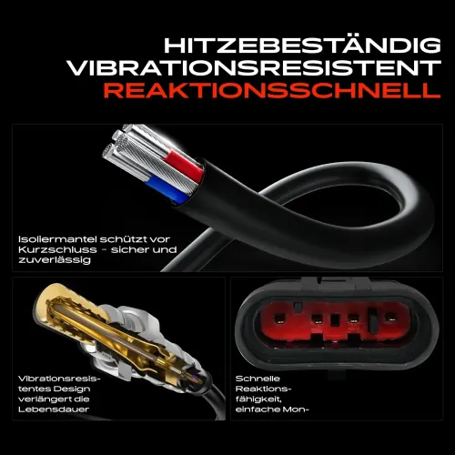 Lambdasonde vor Katalysator Frankberg 5481FB0049569 Bild Lambdasonde vor Katalysator Frankberg 5481FB0049569