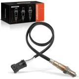 Lambdasonde vor Katalysator Frankberg 5481FB0049570