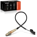 Lambdasonde vor Katalysator Frankberg 5481FB0049587