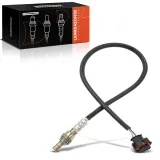 Lambdasonde nach Katalysator Frankberg 5481FB0049589