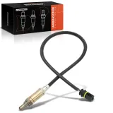 Lambdasonde vor Katalysator Frankberg 5481FB0049598