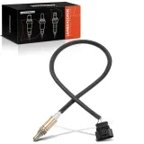 Lambdasonde vor Katalysator Frankberg 5481FB0049599