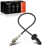 Lambdasonde vor Katalysator Frankberg 5481FB0049616