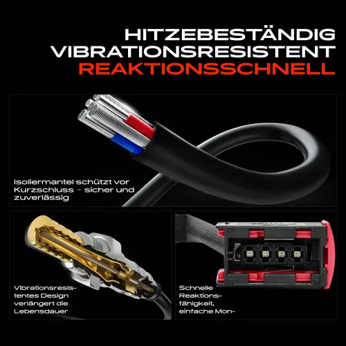 Lambdasonde vor Katalysator Frankberg 5481FB0049617 Bild Lambdasonde vor Katalysator Frankberg 5481FB0049617