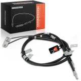 Seilzug, Feststellbremse Hinterachse beidseitig Frankberg 5481FB0050334