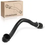 Kühlerschlauch Frankberg 5481FB0051220