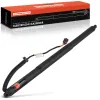 Gasfeder, Koffer-/Laderaum Frankberg 5481FB0051779