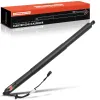 Gasfeder, Koffer-/Laderaum Frankberg 5481FB0051781 Bild Gasfeder, Koffer-/Laderaum Frankberg 5481FB0051781