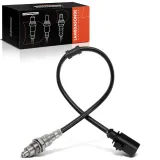 Lambdasonde nach Katalysator Frankberg 5481FB0051880