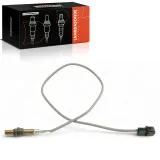 Lambdasonde vor Katalysator Frankberg 5481FB0051883