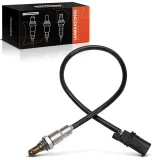 Lambdasonde vor Katalysator Frankberg 5481FB0051887