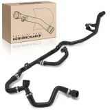 Kühlerschlauch Frankberg 5481FB0052437