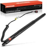 Gasfeder, Koffer-/Laderaum Frankberg 5481FB0053310