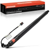 Gasfeder, Koffer-/Laderaum Frankberg 5481FB0053321