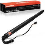 Gasfeder, Koffer-/Laderaum Frankberg 5481FB0053325