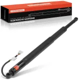 Gasfeder, Koffer-/Laderaum Frankberg 5481FB0053486