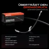 Bremsschlauch Vorderachse rechts Frankberg 5481FB0054365 Bild Bremsschlauch Vorderachse rechts Frankberg 5481FB0054365