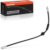 Bremsschlauch Hinterachse beidseitig Frankberg 5481FB0054368