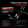 Bremsschlauch Vorderachse beidseitig Frankberg 5481FB0054388 Bild Bremsschlauch Vorderachse beidseitig Frankberg 5481FB0054388