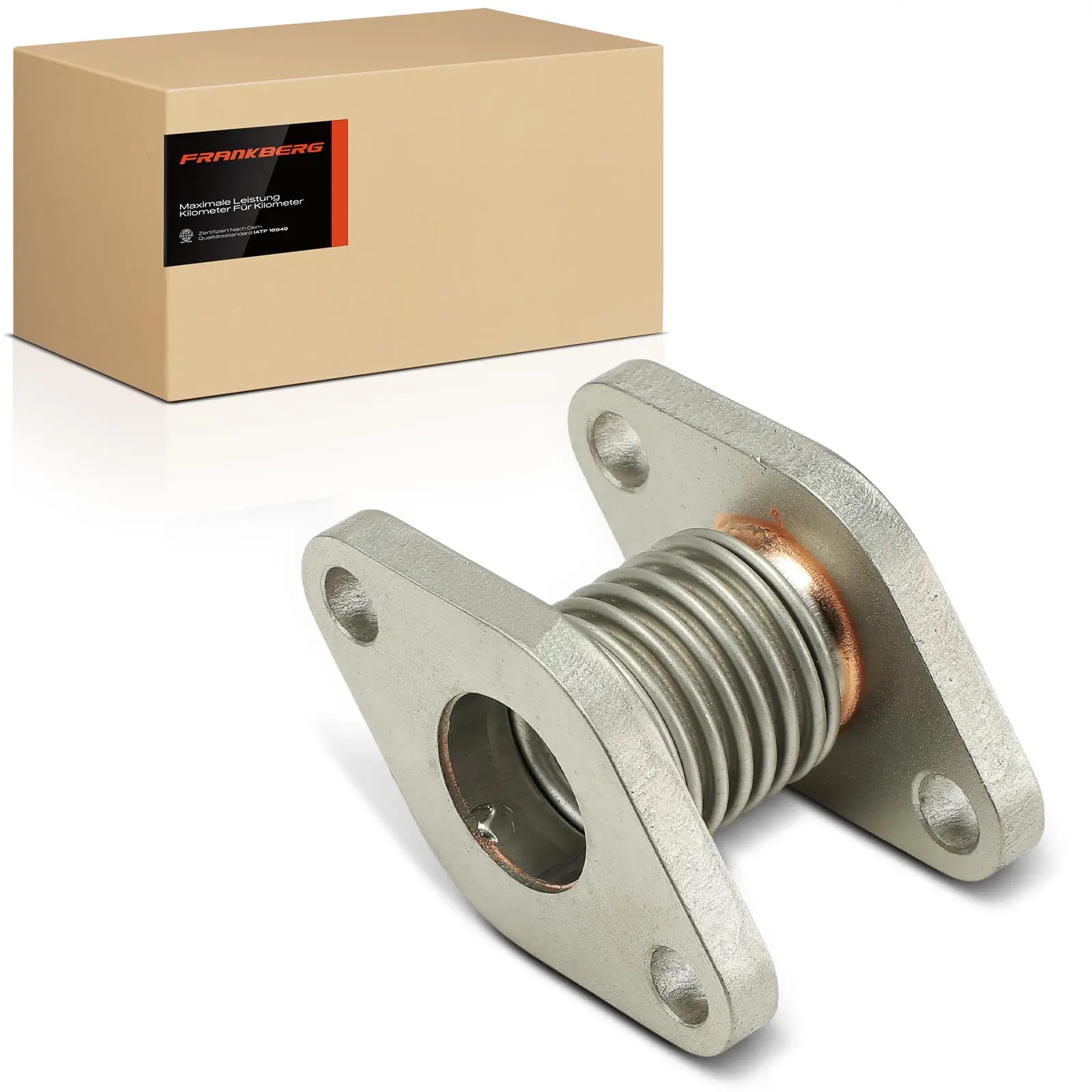 Rohrleitung, AGR-Ventil Frankberg 5481FB0056185