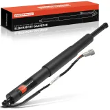 Gasfeder, Koffer-/Laderaum Frankberg 5481FB0057306