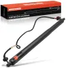 Gasfeder, Koffer-/Laderaum Frankberg 5481FB0057314
