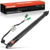 Gasfeder, Koffer-/Laderaum Frankberg 5481FB0057316