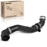 Kühlerschlauch Frankberg 5481FB0059093