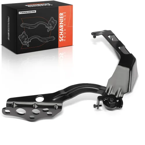 Scharnier, Motorhaube Frankberg 5481FB0059824 Bild Scharnier, Motorhaube Frankberg 5481FB0059824