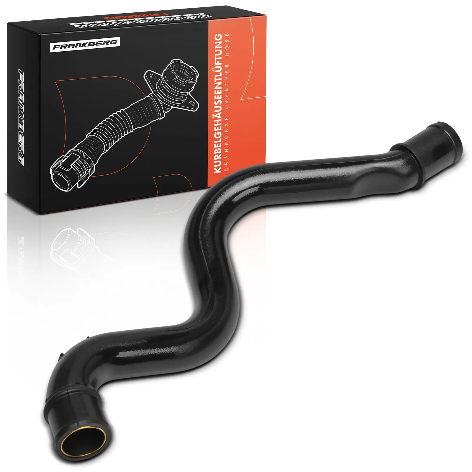 Schlauch, Zylinderkopfhaubenentlüftung Frankberg 5481FB0060891