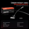 Bremsschlauch Hinterachse rechts Frankberg 5481FB0061271 Bild Bremsschlauch Hinterachse rechts Frankberg 5481FB0061271
