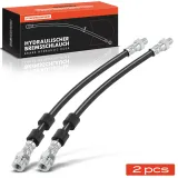 Bremsschlauch Hinterachse Frankberg 5481FB0062529