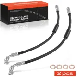 Bremsschlauch Hinterachse Frankberg 5481FB0062620