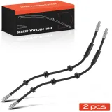 Bremsschlauch Vorderachse Frankberg 5481FB0062680