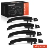 Türaußengriff vorne und hinten Frankberg 5481FB0062884