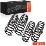 Fahrwerksfeder vorne und hinten Frankberg 5481FB0065284