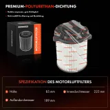 Fahrwerksfeder Vorderachse Frankberg 5481FB0009069