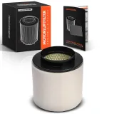 Fahrwerksfeder Vorderachse Frankberg 5481FB0009070