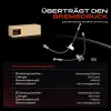 Bremsschlauch Hinterachse beidseitig Frankberg 5481FB0066908 Bild Bremsschlauch Hinterachse beidseitig Frankberg 5481FB0066908
