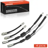 Bremsschlauch Hinterachse beidseitig Frankberg 5481FB0067083