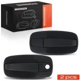 Türgriff, Innenausstattung vorne Frankberg 5481FB0068239