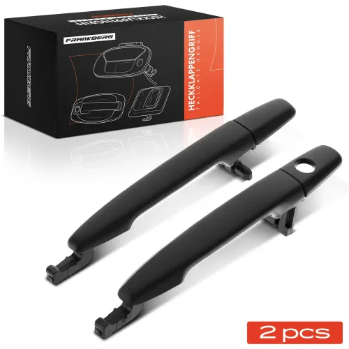 Türgriff, Innenausstattung vorne Frankberg 5481FB0068269 Bild Türgriff, Innenausstattung vorne Frankberg 5481FB0068269